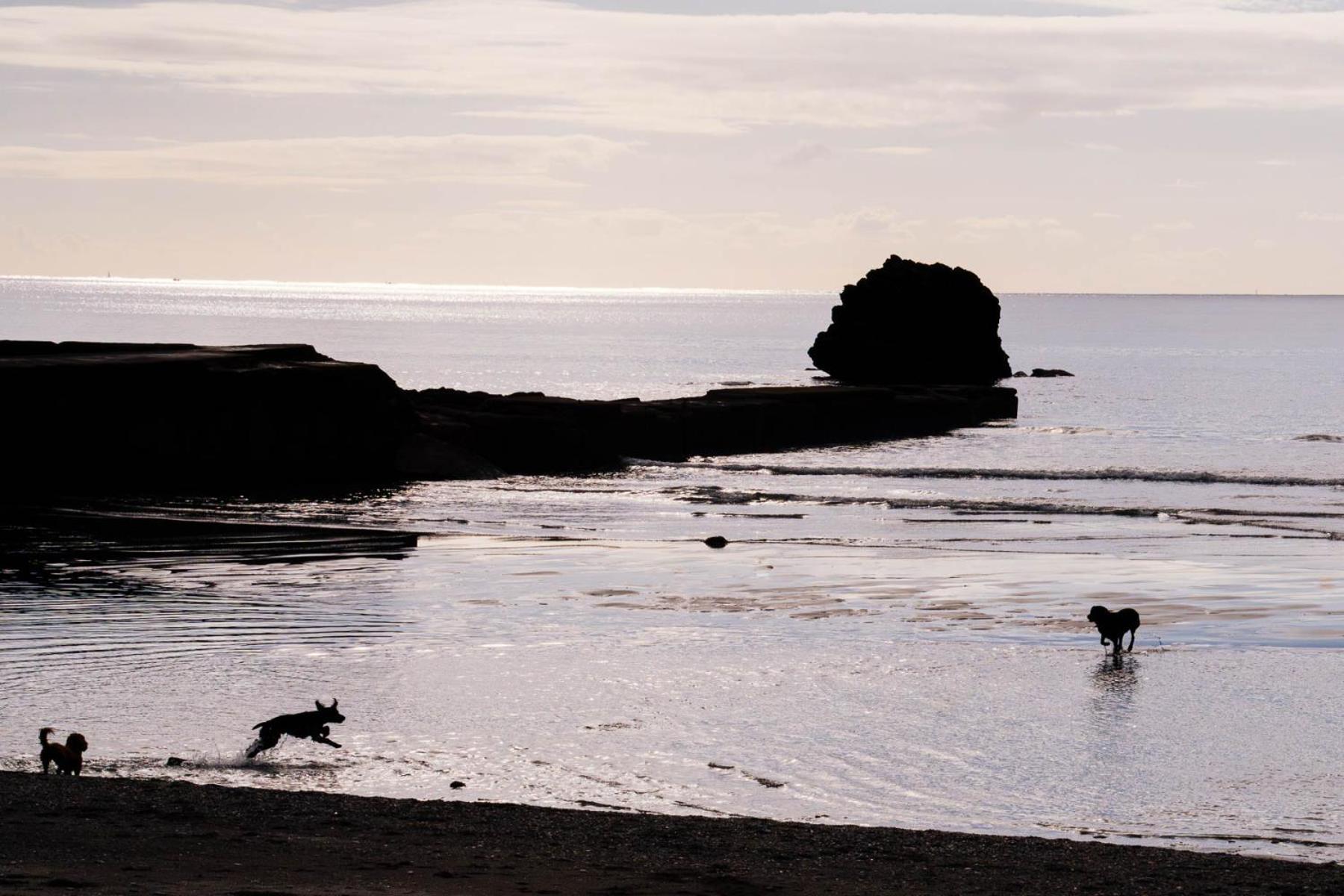 Pet Friendly Sea View Villa Millendreath Looe Exterior photo